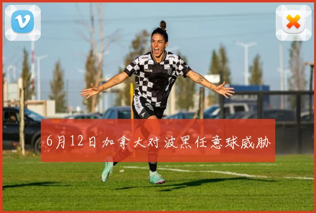 6月12日加拿大对波黑任意球威胁