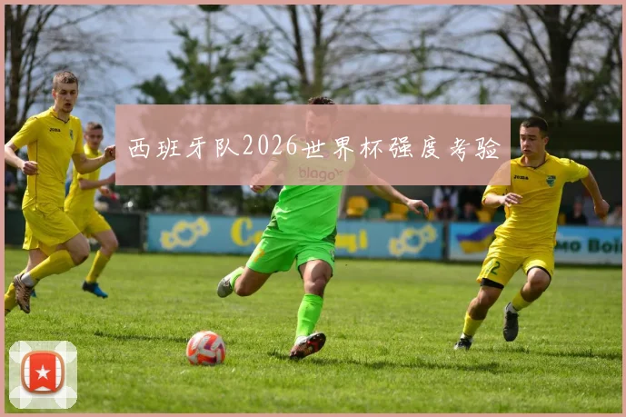 西班牙队2026世界杯强度考验