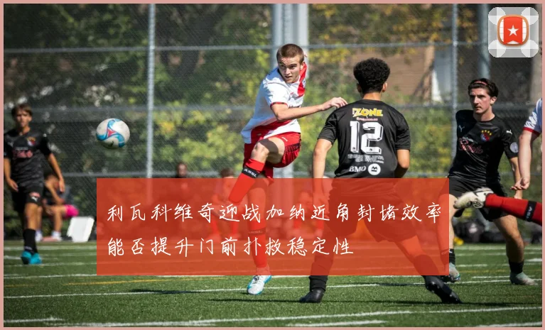 利瓦科维奇迎战加纳近角封堵效率能否提升门前扑救稳定性