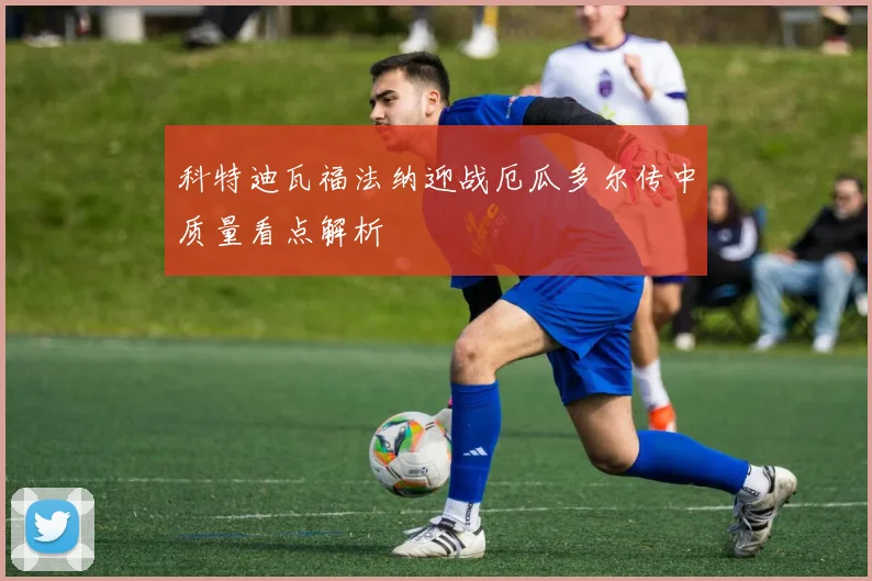 科特迪瓦福法纳迎战厄瓜多尔传中质量看点解析