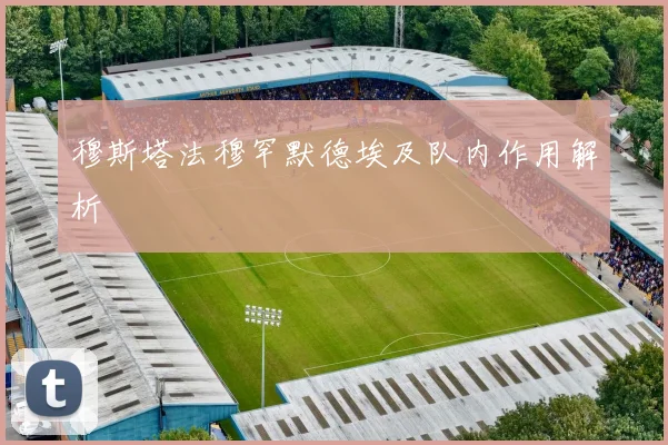 穆斯塔法穆罕默德埃及队内作用解析