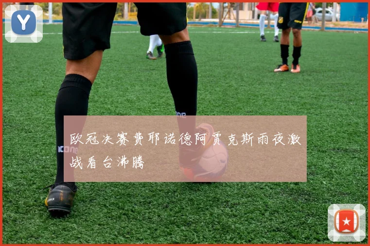欧冠决赛费耶诺德阿贾克斯雨夜激战看台沸腾