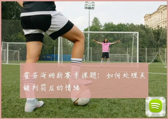 霍芬海姆新赛季课题:如何处理关键判罚后的情绪